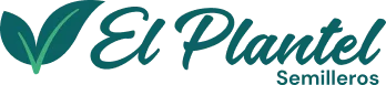 El Plantel Semilleros