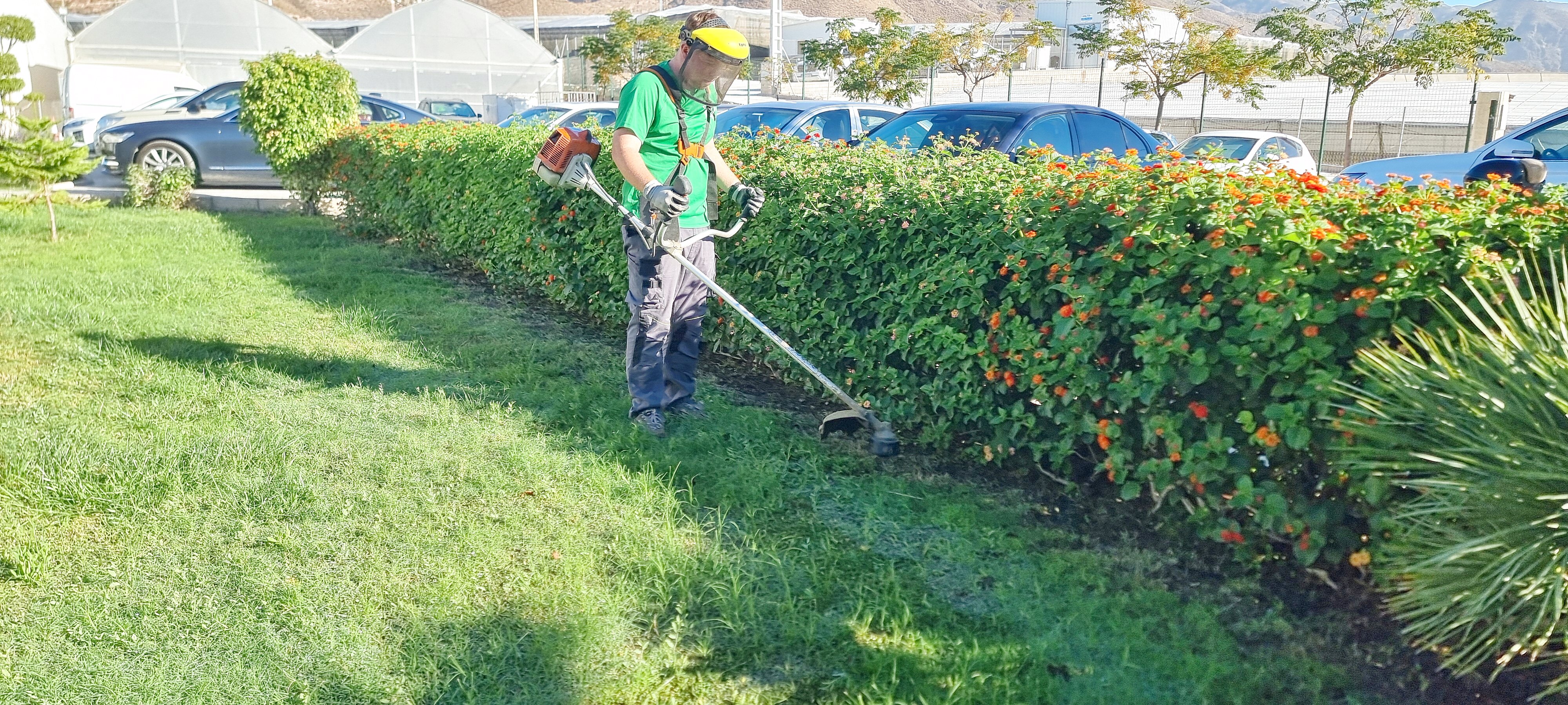 Manejo de desbrozadora en jardines