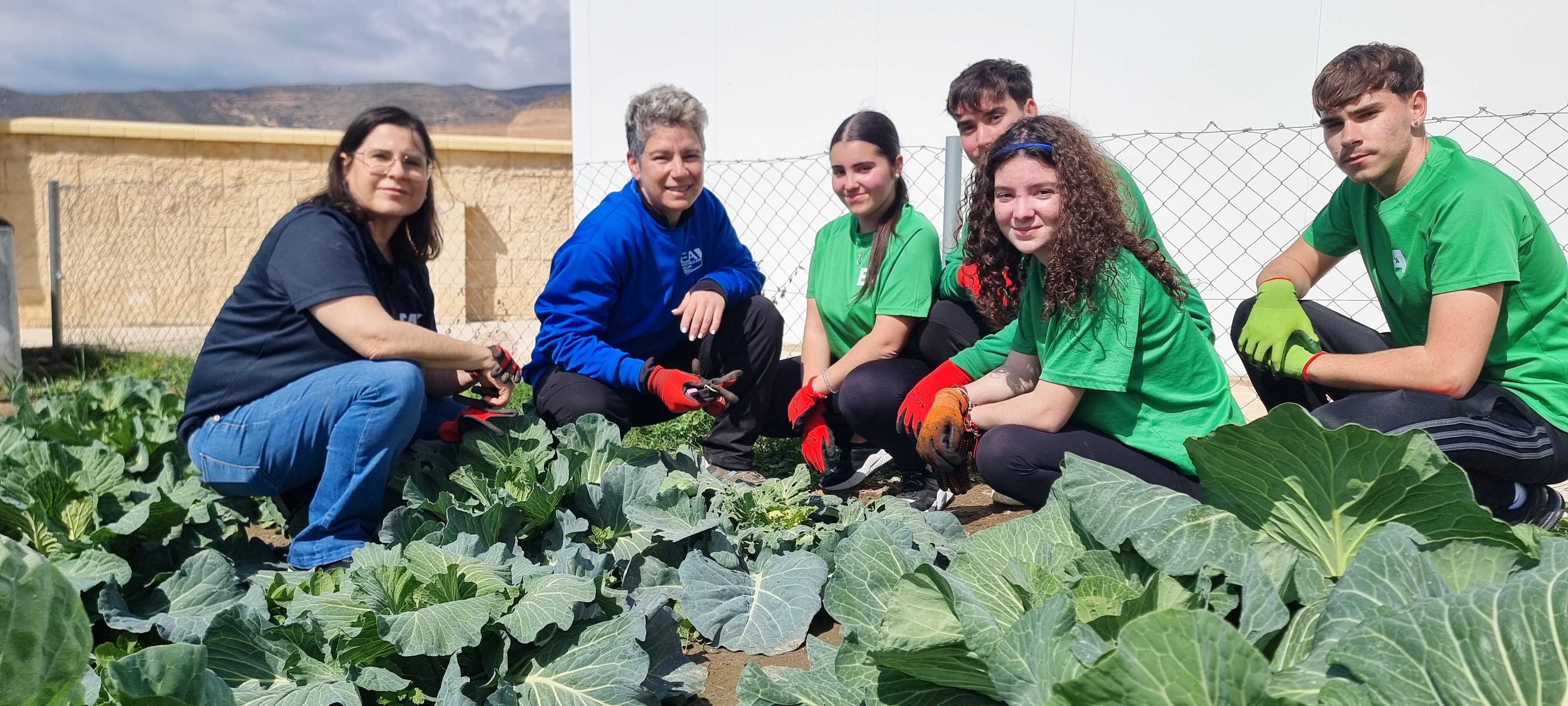 Prácticas de Implantación de Cultivos Ecológicos en huerto
