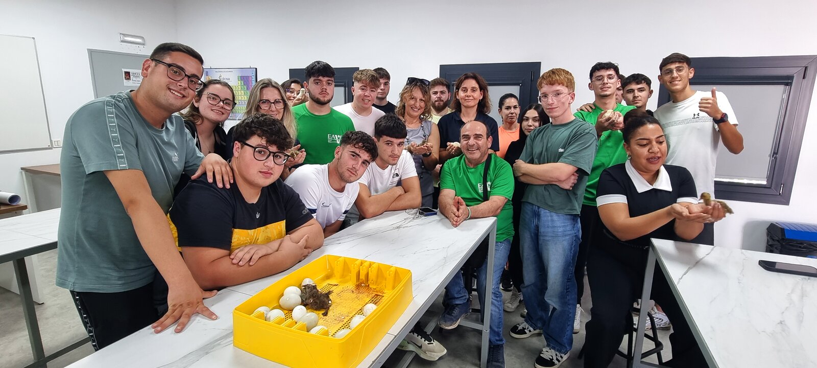 Práctica de incubación de huevos en laboratorio