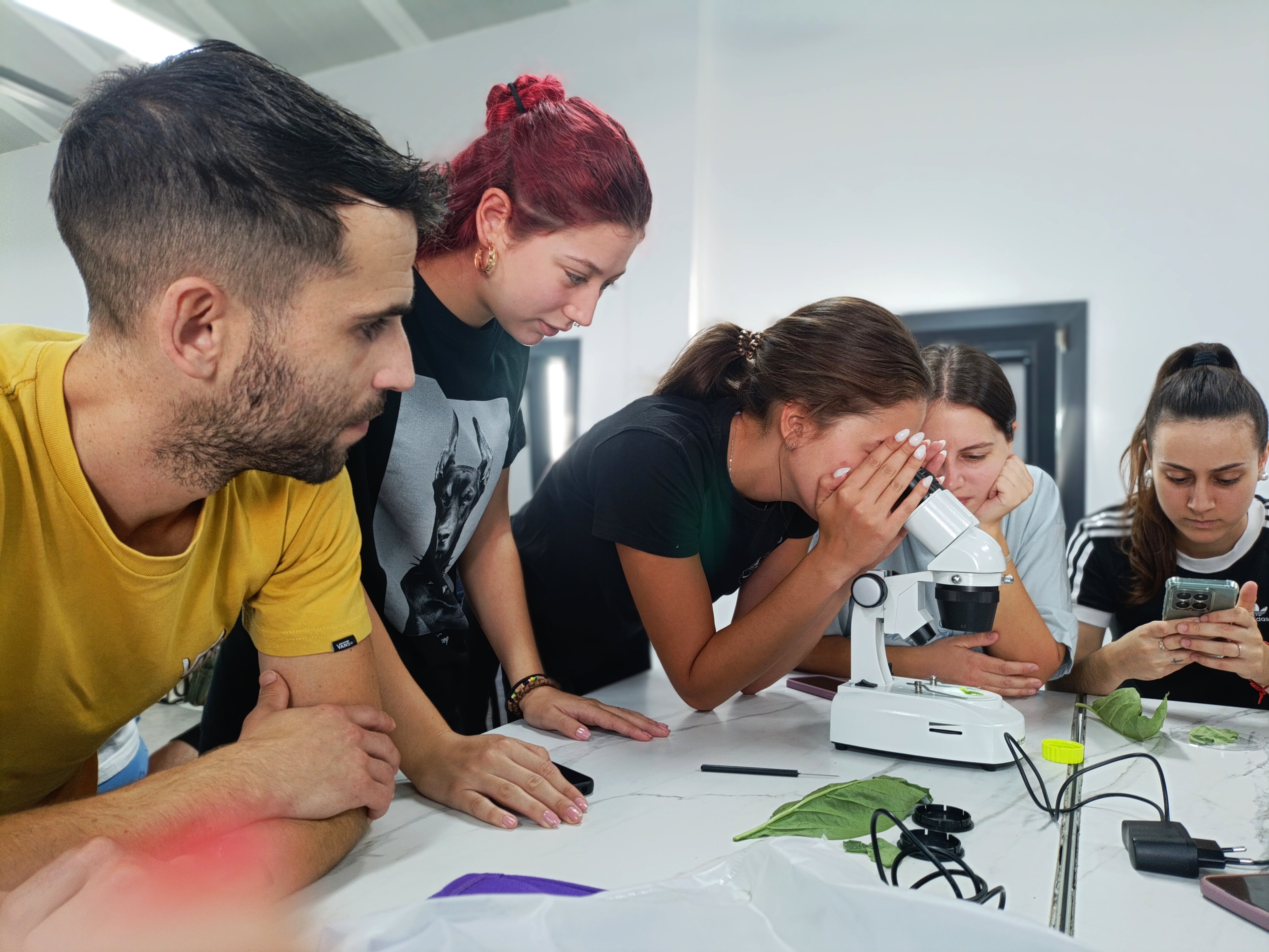 Identificación de fauna auxiliar en laboratorio agronómico