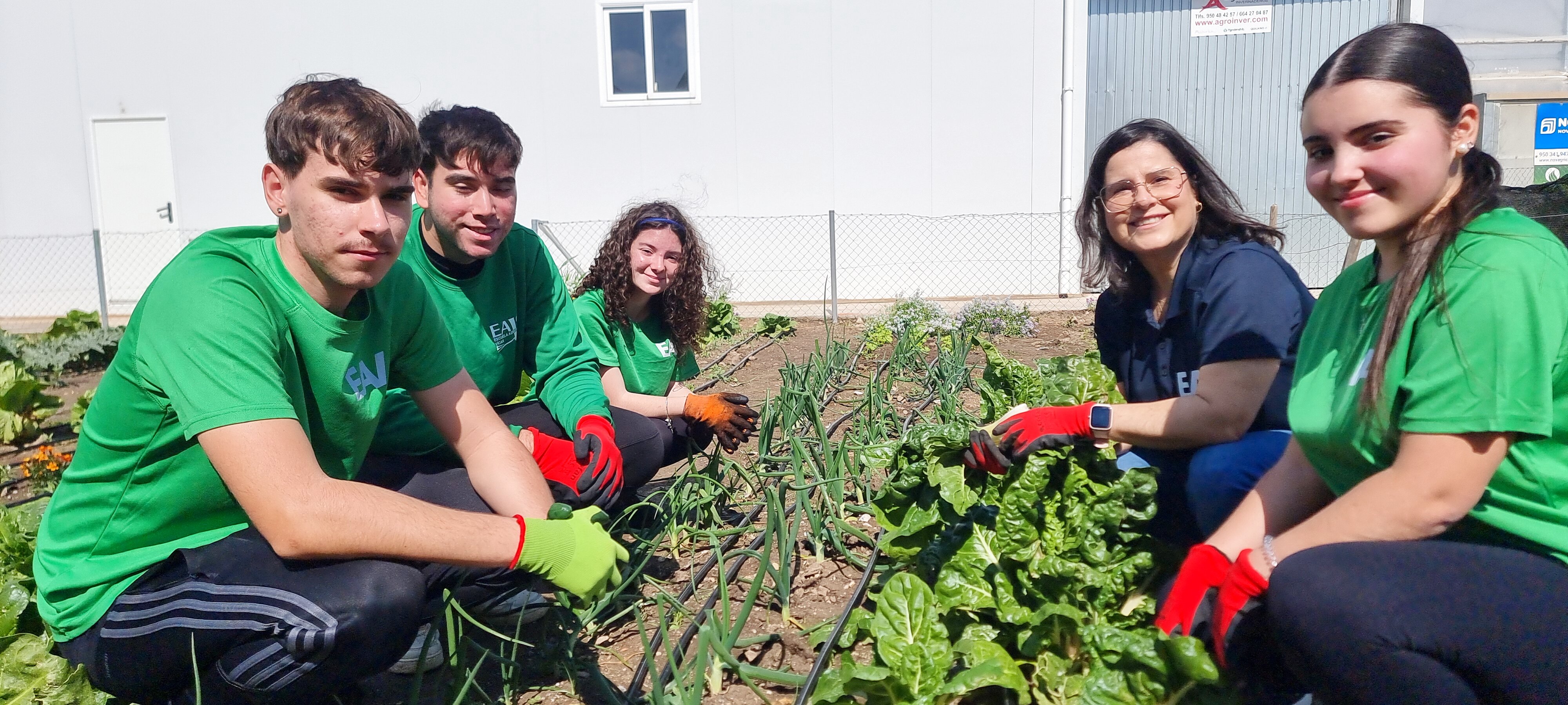 Prácticas de Implantación de Cultivos Ecológicos en huerto