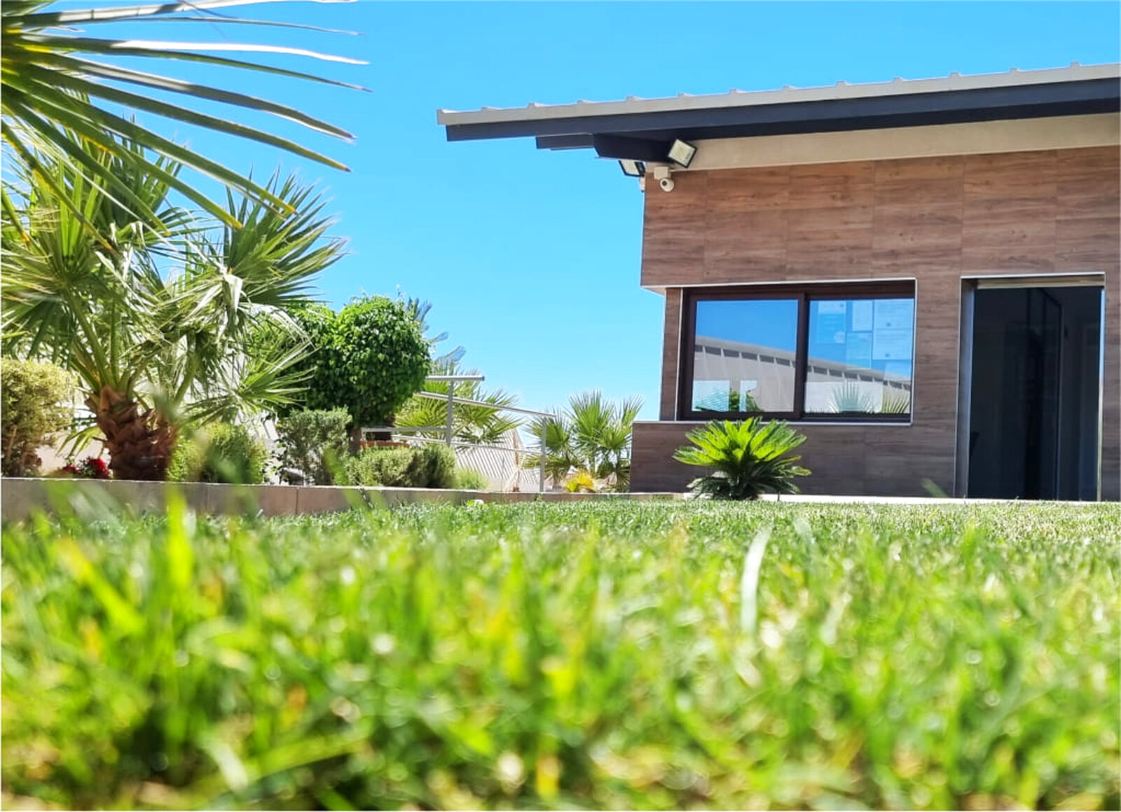 Detalle de césped en jardín frente a edificio administrativo