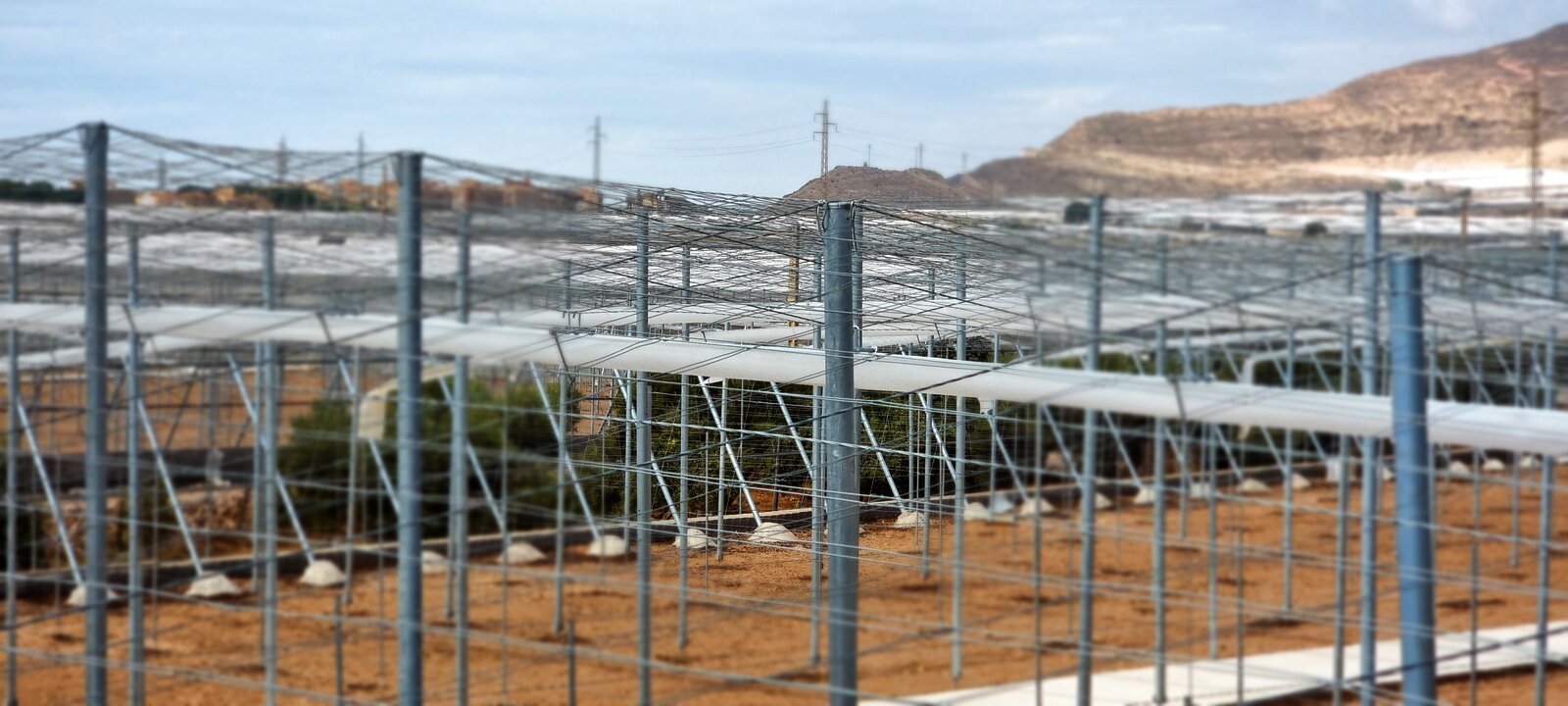 Detalle de tejido de invernadero en nave 2 remodelada