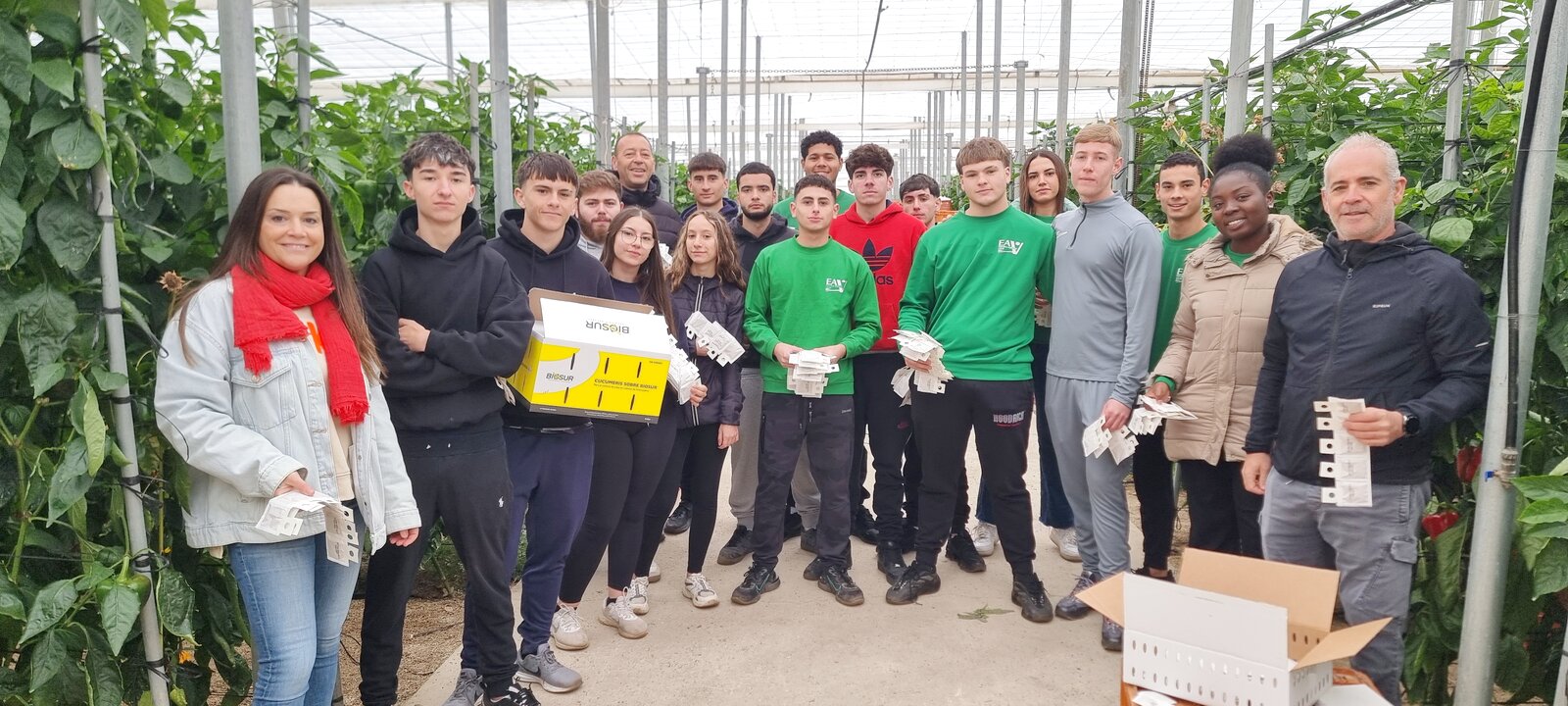 Práctica de fauna auxiliar de control biológico en nave 1