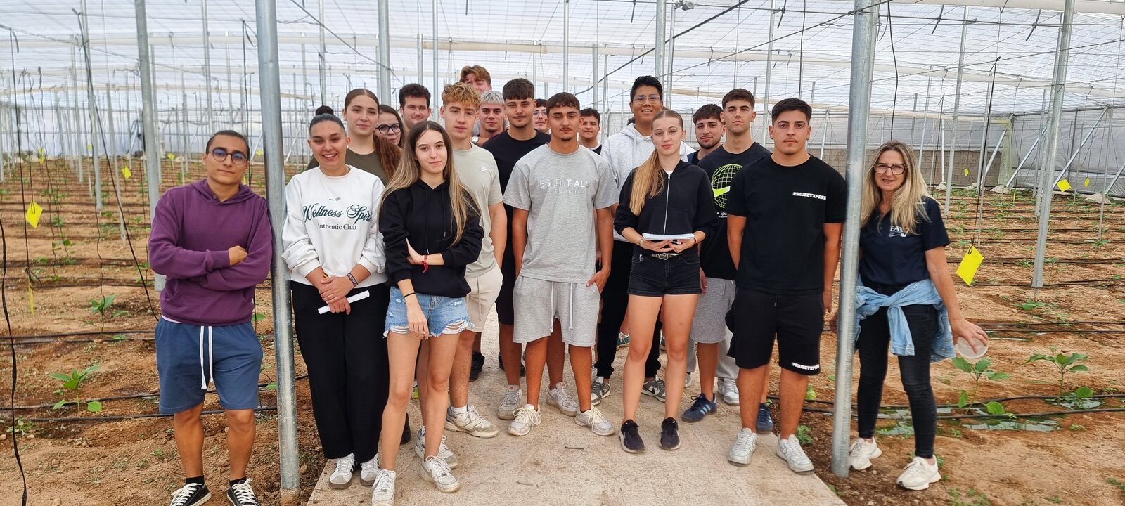 Práctica de control de plantación de pimiento en nave 1