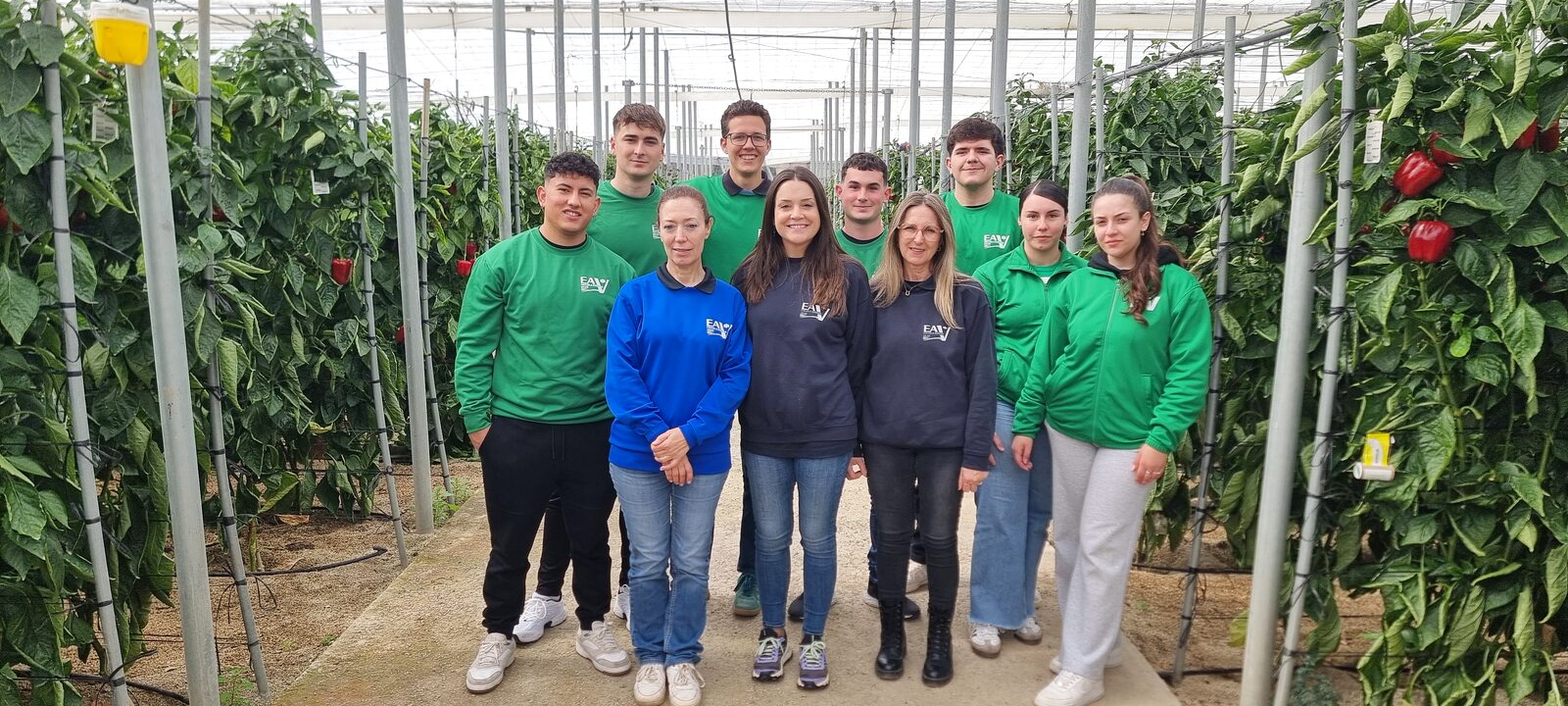 Práctica de Gestión de Cultivos con pimiento en nave 1