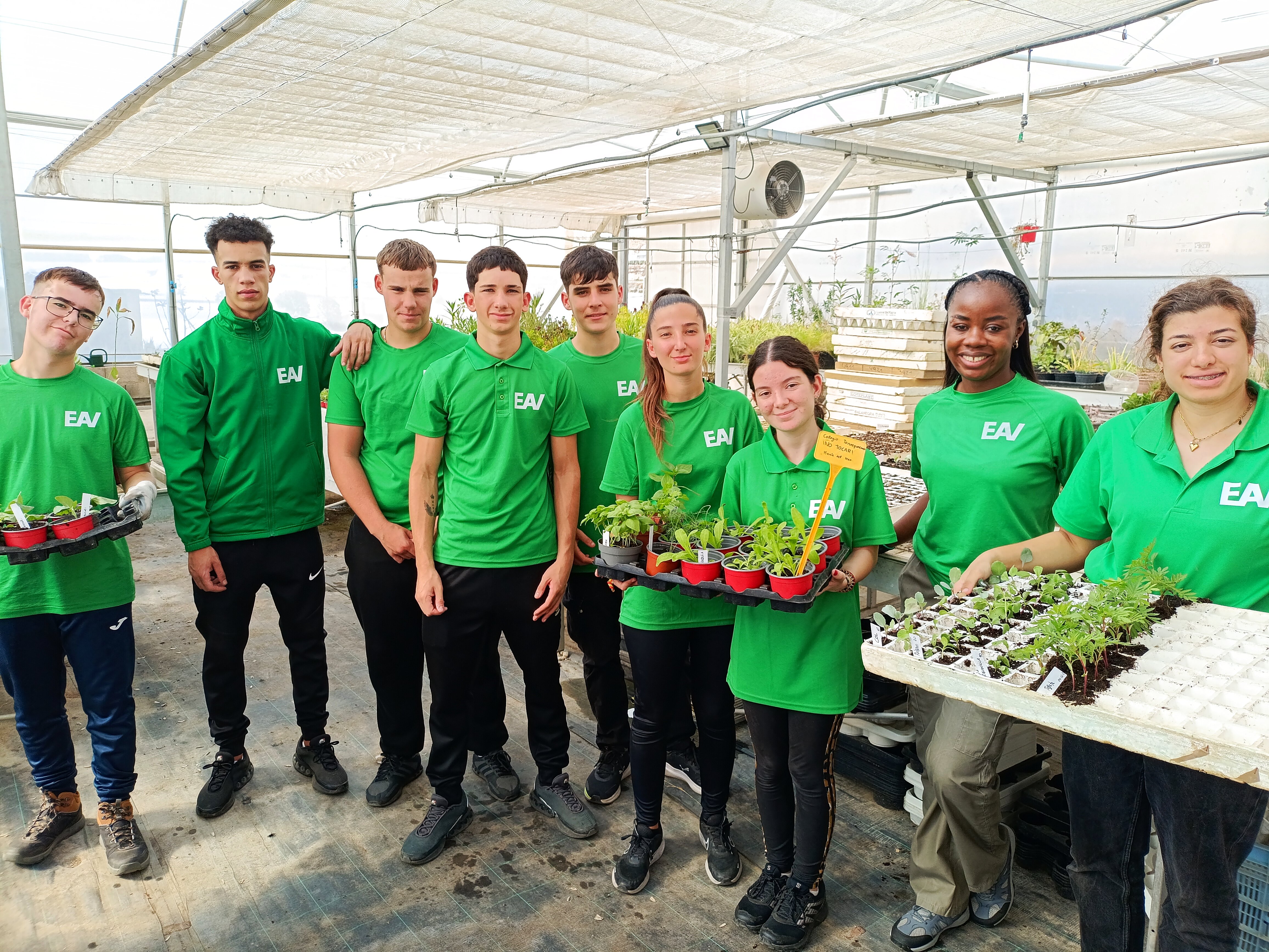 Producción de Plantas y Tepes en Vivero