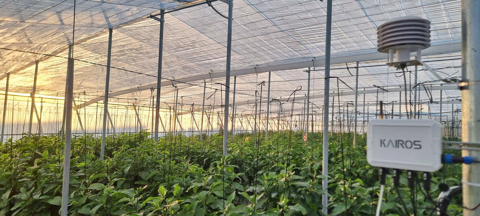 Detalle sensores control climático nave 3