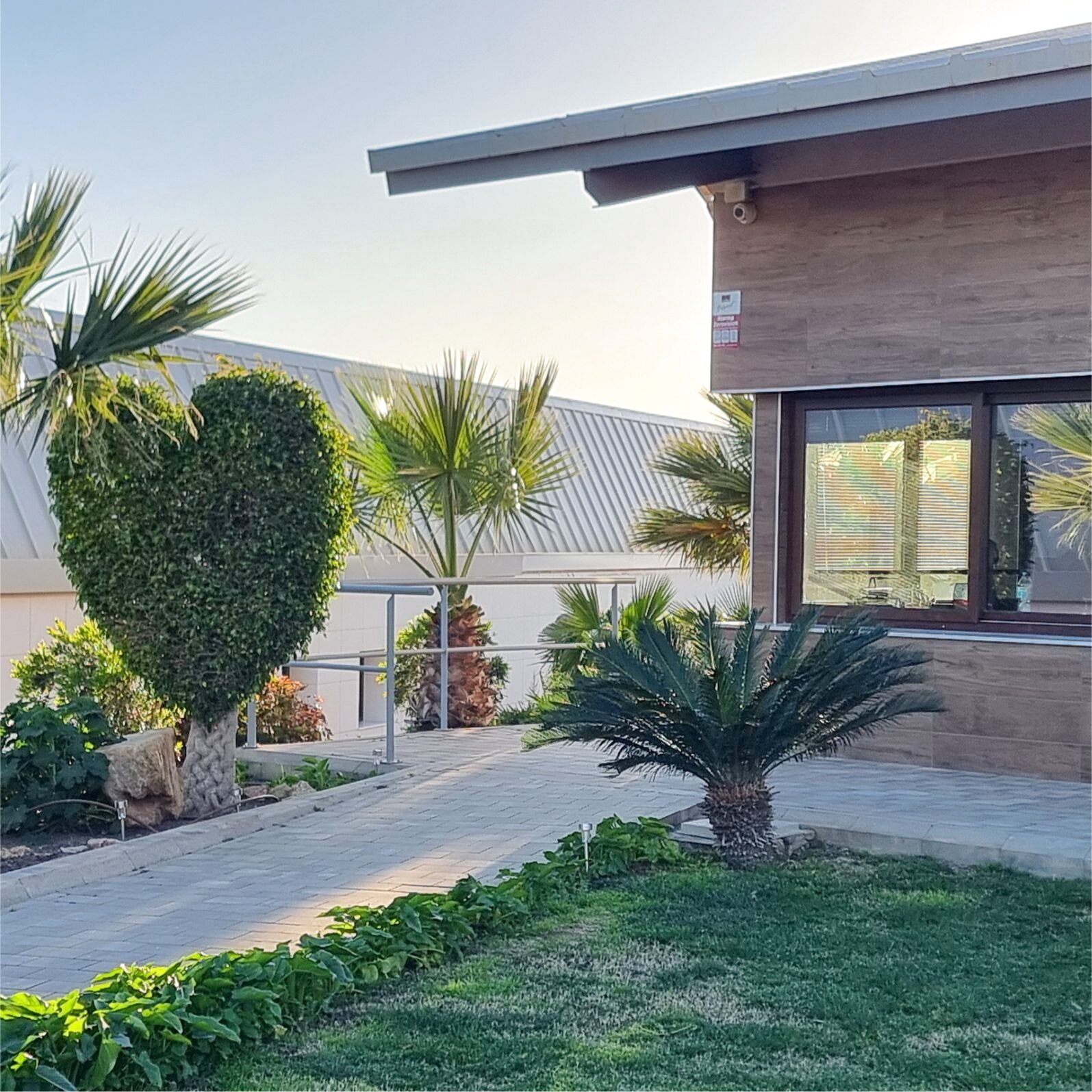 Escuela Agraria Vícar "Corazón del Poniente". Poda topiaria