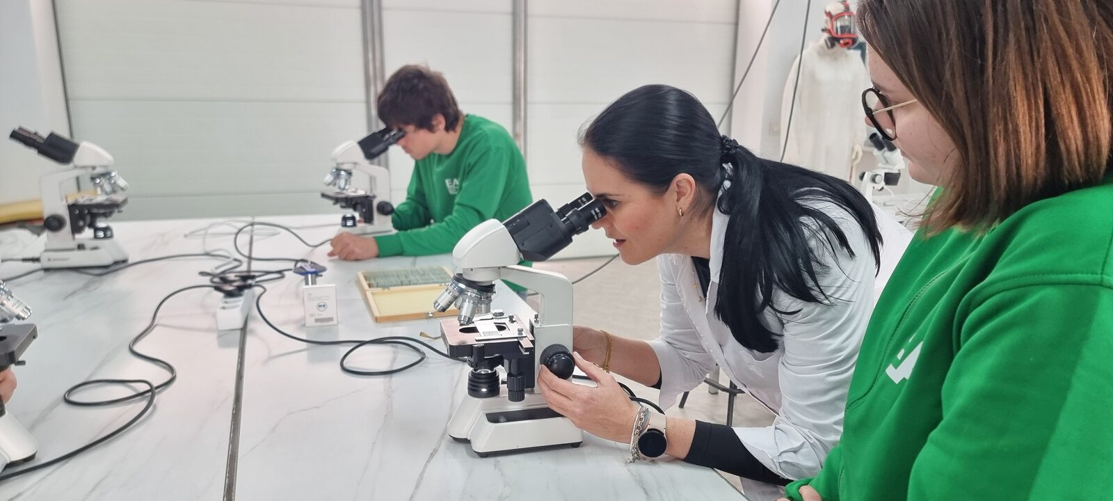 Práctica de microscopía en laboratorio
