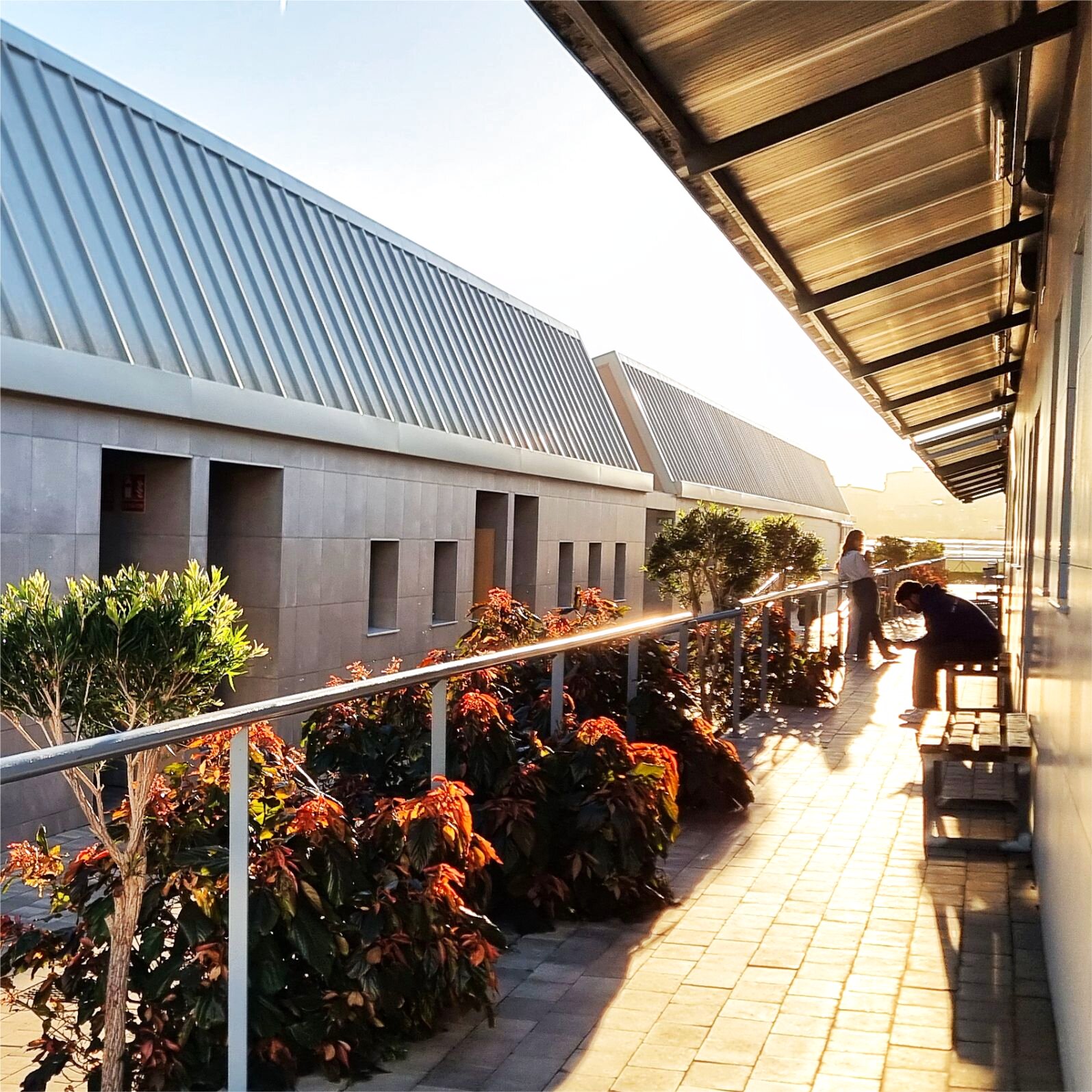 Pasillo central exterior del aulario