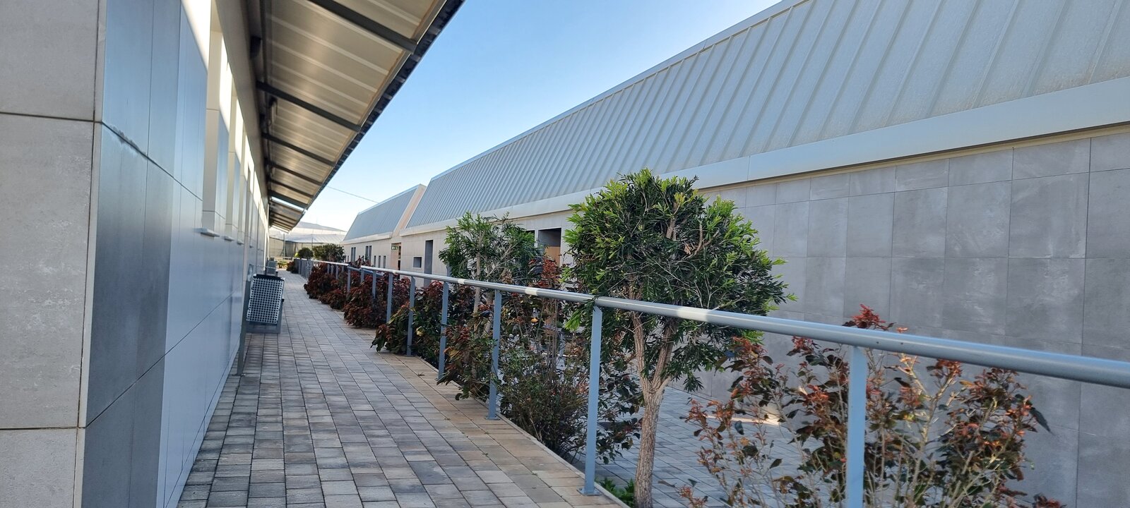 Pasillo exterior entre aularios con ajardinamiento