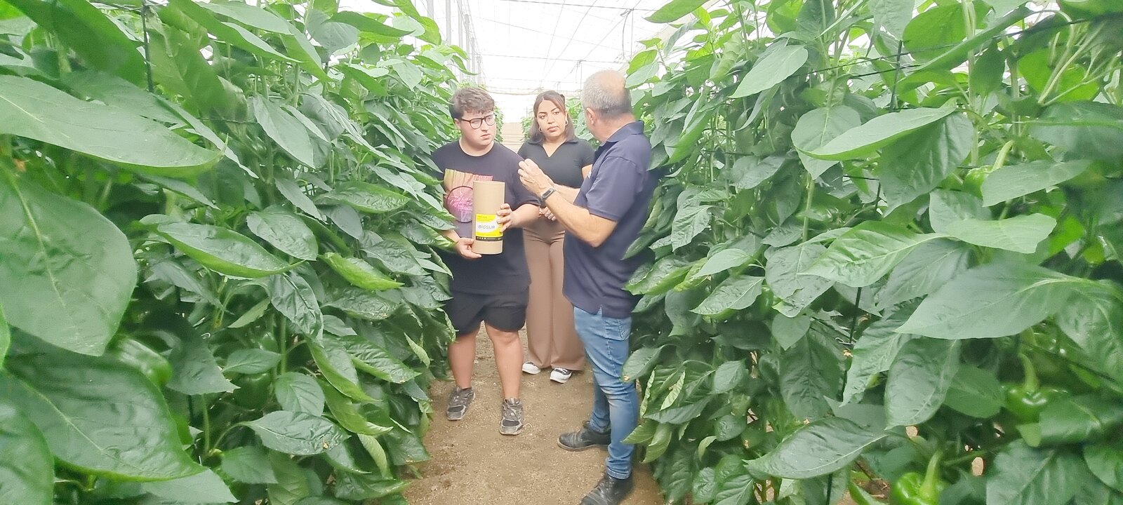 Suelta de fauna auxiliar en nave 1