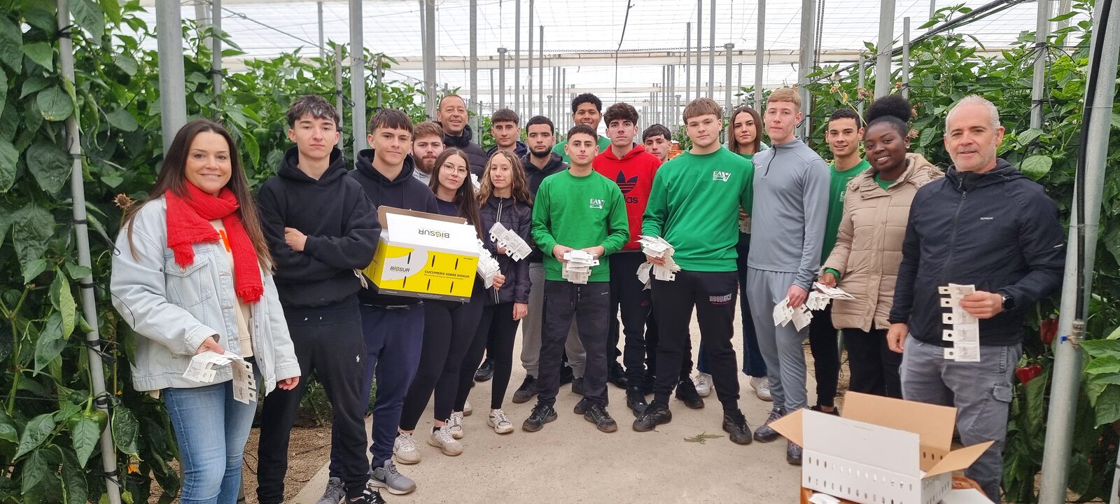 Clase práctica de polinizadores en nave 4