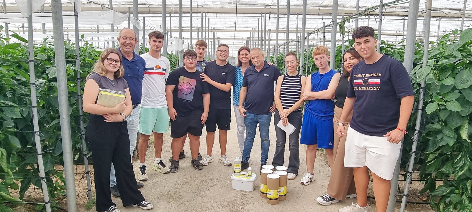 Control biológico de pimiento california en nave 1