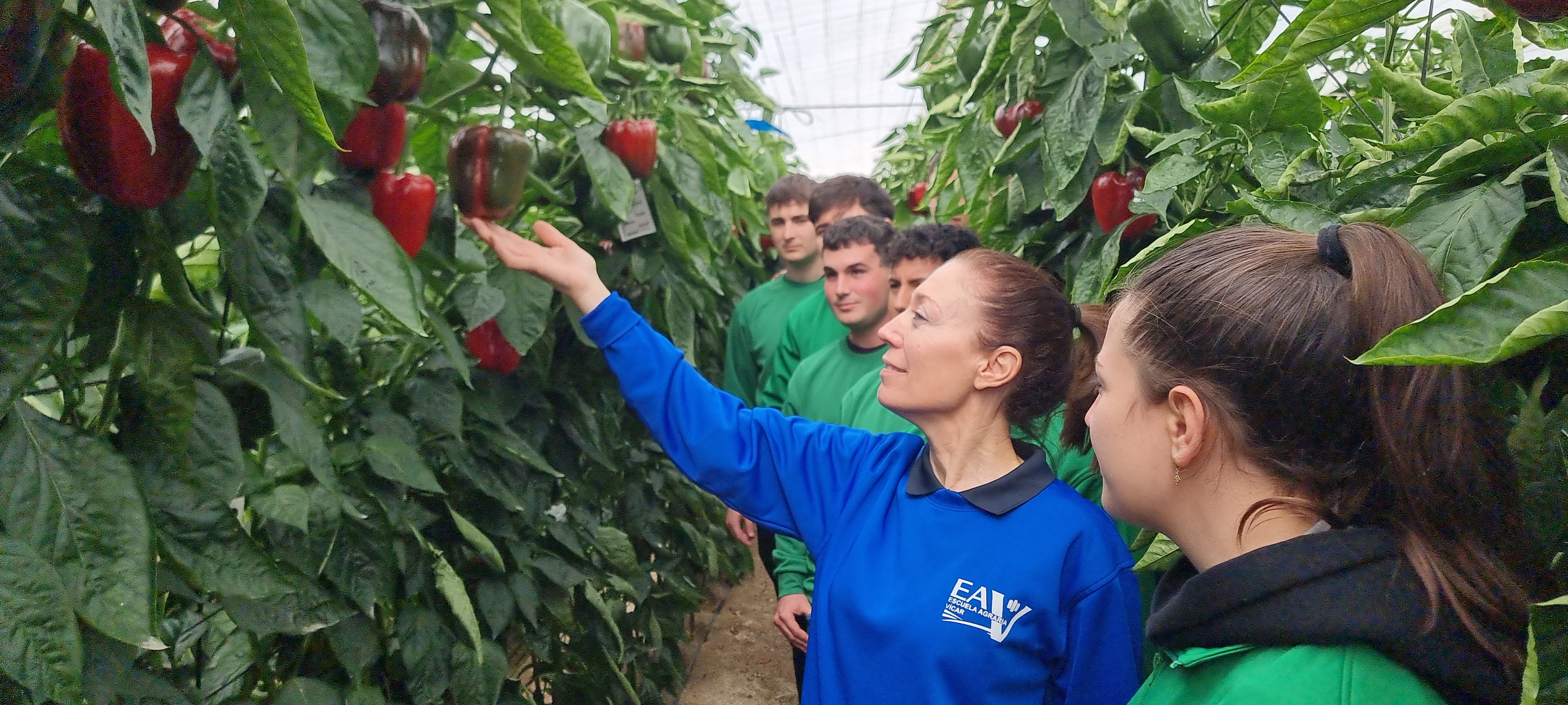 Clase práctica en invernadero — Escuela Agraria Vícar