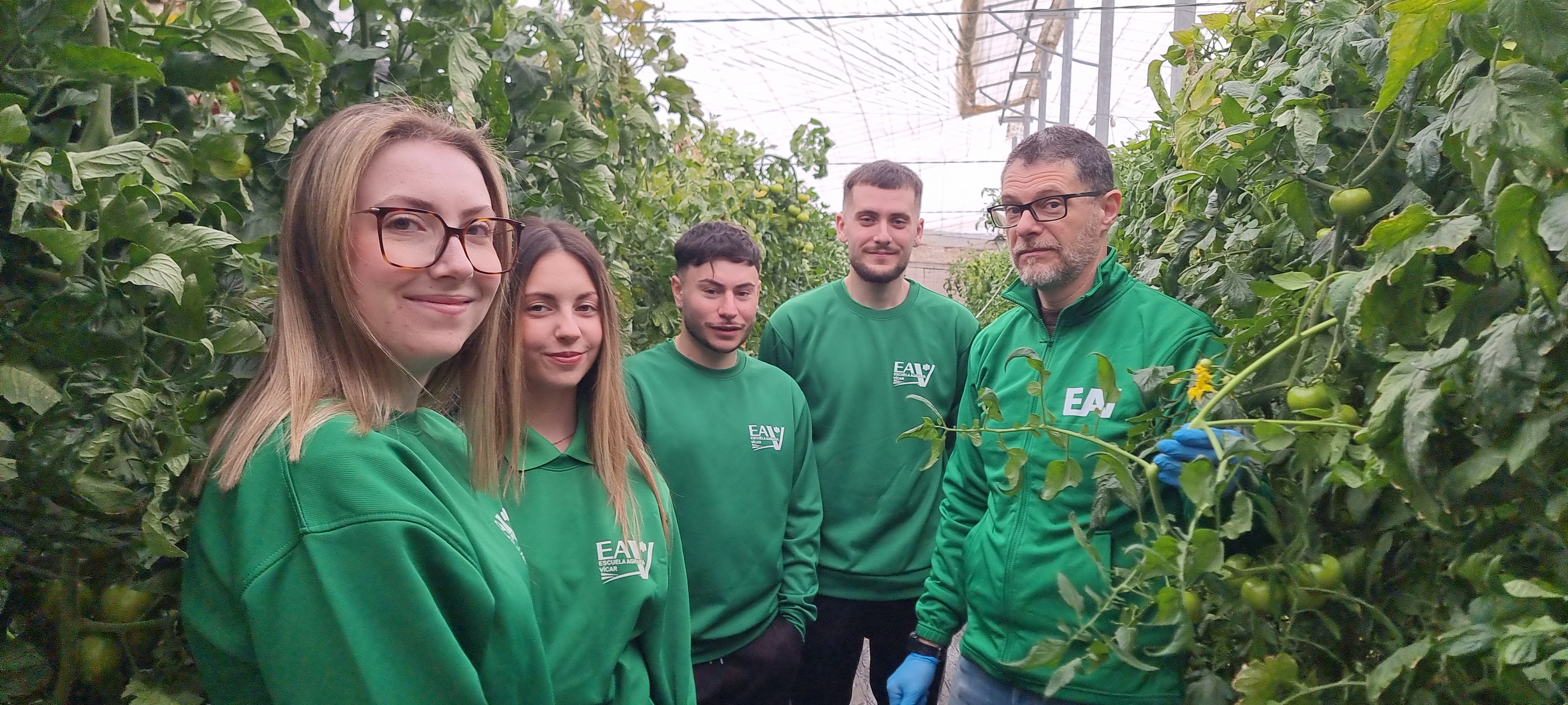 Alumnos con tomateras en invernadero — Escuela Agraria Vícar
